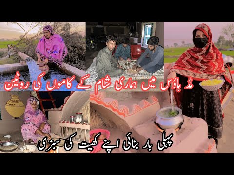 | Mud house mein hamari sham ke kamon ki routine |  Pehli bar banai apne Khet Ki sabzi | Village Eve