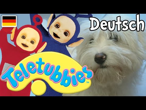 Teletubbies auf Deutsch: Mein Haustier: Hund
