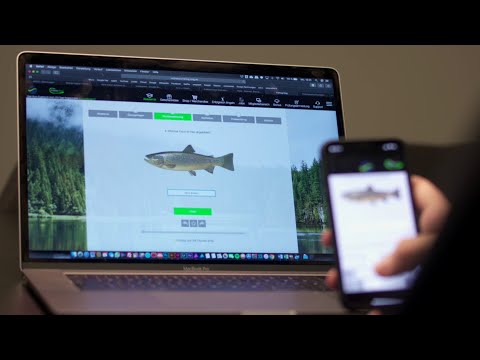 Jetzt Angelschein online machen in deinem Bundesland (30% sparen) - Second Medium