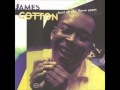 James Cotton-Hit Man