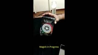 Past Life Reading Using The Wild Unknown Tarot Deck for P.N.