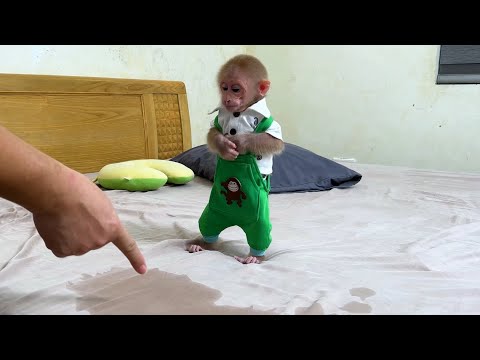 Naughty BiBi ran away take a bath and was punished by his daddy