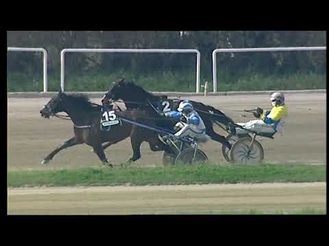 Napoli Trotto 26/020/2021 - 1ª corsa