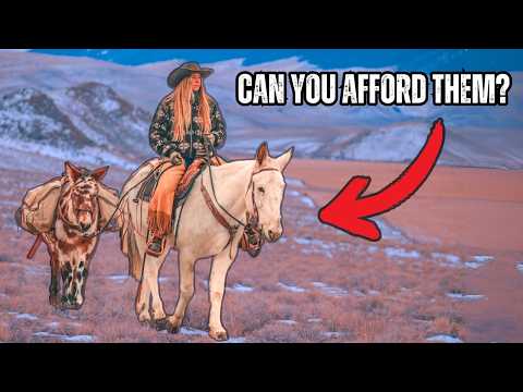 How Much Does A Mule or Horse Cost? And 3 Tips To Help You Afford One!