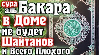 ? ВКЛЮЧАЙТЕ СУРУ БАКАРА В ДОМЕ НЕ БУДЕТ ШАЙТАНОВ И ВСЕГО ПЛОХОГО - АЛЛАХ ДАЕТ МИЛОСТЬ И ЗАЩИТУ