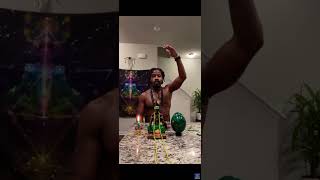 Rashad Jamal Nature and The truth About Trees