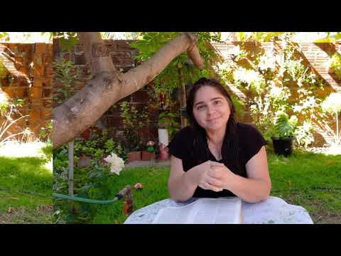 Êxodo 19:1-25- Deus fala com Moisés no monte Sinai. Devocional Encontro com Deus