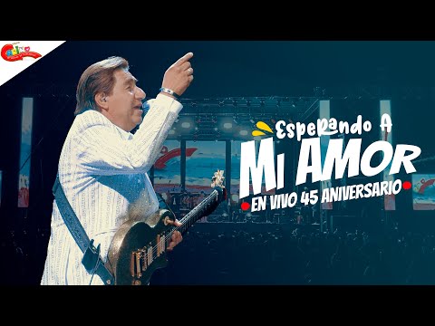 45 ANIVERSARIO ⭐️ ESPERANDO A MI AMOR - GRUPO CARIÑO DE TOMAS CRUZ