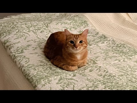 Kurt’s First Month in The New House