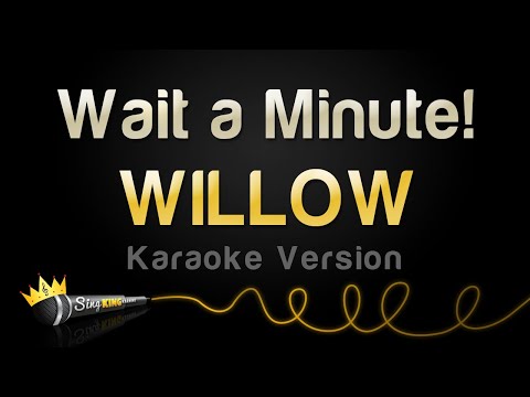 WILLOW - Wait a Minute! (Karaoke Version)