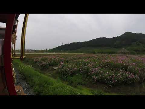 Hangzhou Yuhang Dia Mountain Flower Sea | Timelapse de passeio de trem