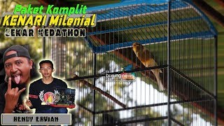 Download lagu Kenari Sekar Kedathon, Paket komplit kenari masa Kini mp3 Download lagu Kenari Sekar Kedathon, Paket komplit kenari masa Kini mp3