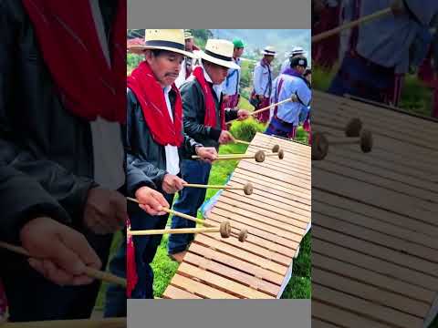 Marimba de San Sebastián H EN Todos Santos 😱🎶 #shorts