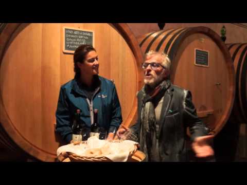 VENDEMMIA IN DIRETTA    TENUTA DI NIPOZZANO