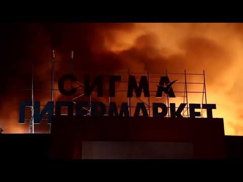 Russian Black Sea oil exports halt after Ukrainian attack | REUTERS