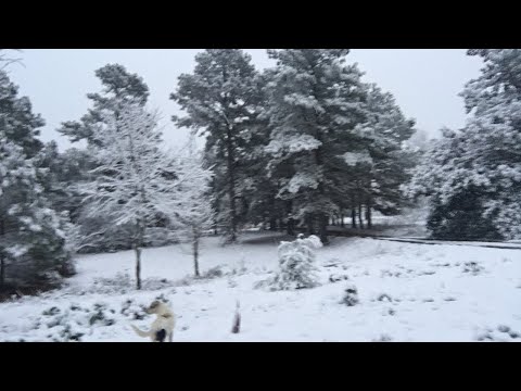 Louisiana snow 1-11-21