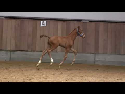 Daan G born 28 April 2022