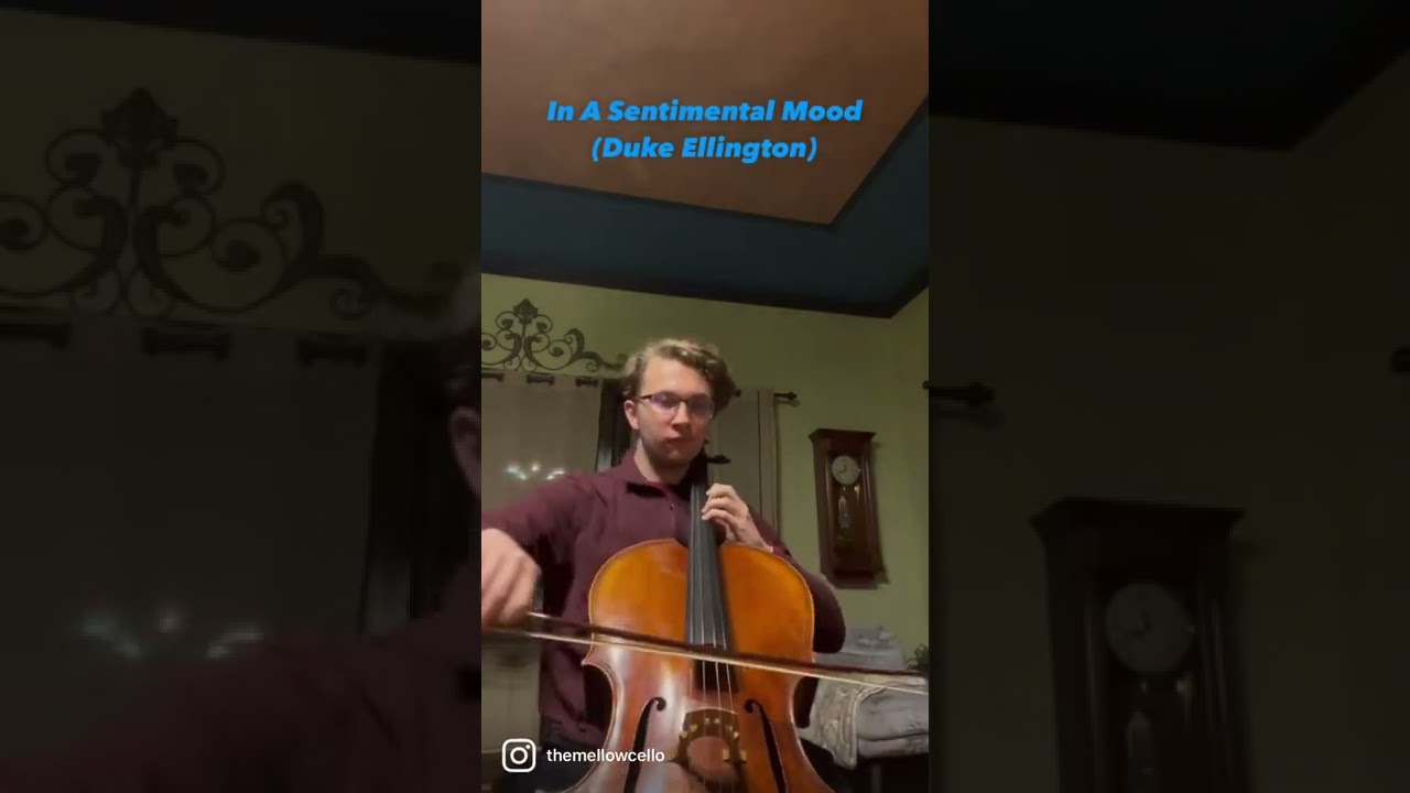 Promotional video thumbnail 4 for The Mellow Cello