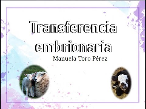, title : 'Transferencia Embrionaria de Bovinos, Ovinos y Caprinos'