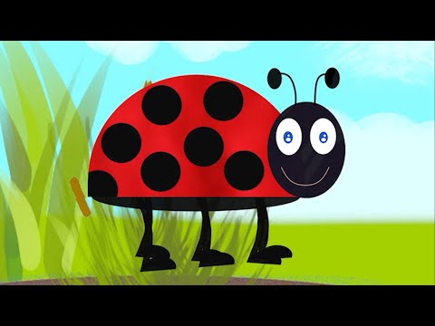 Hétpettyes Katicabogár - Napsugár együttes - GYEREKDAL