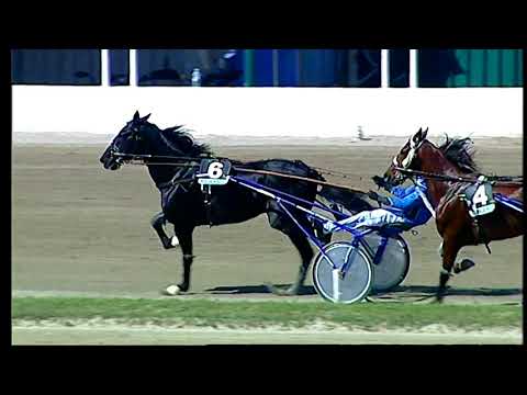 Napoli Trotto 07/05/2021 - 4ª corsa