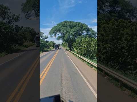 trecho de mineiros X portelandia no goias