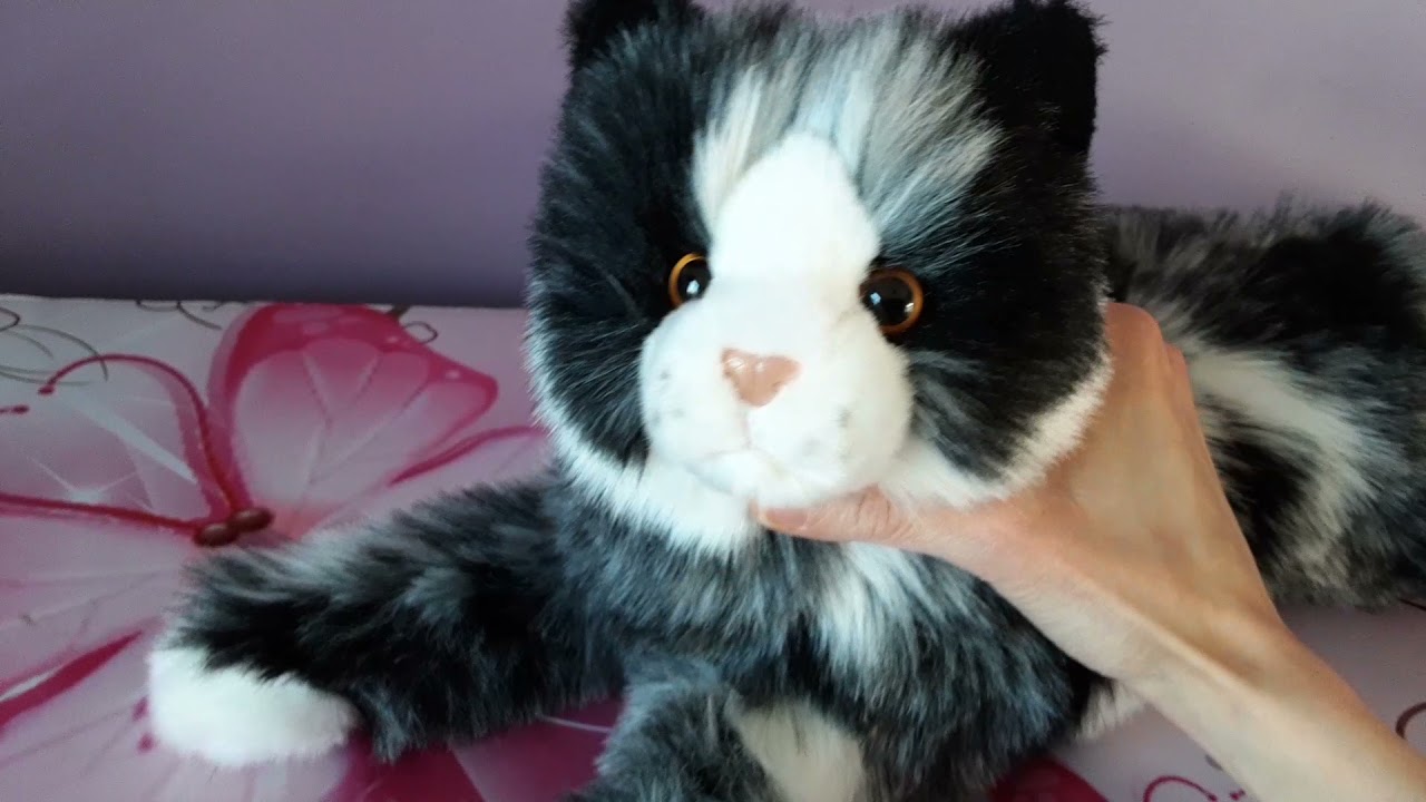 Review of Zoey the D'Lux Black & White Cat by Douglas Cuddle Toys 🖤🤍