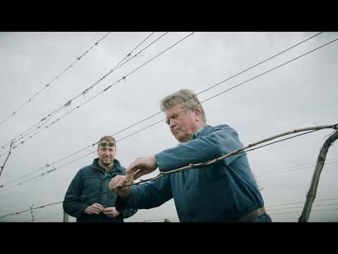 Zbyněk Osička - Neznámí vinaři