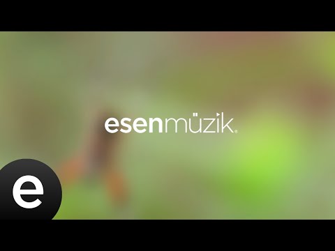 Yedi Karanfil (Seven Cloves) - Yaşamadın Sen - Official Audio