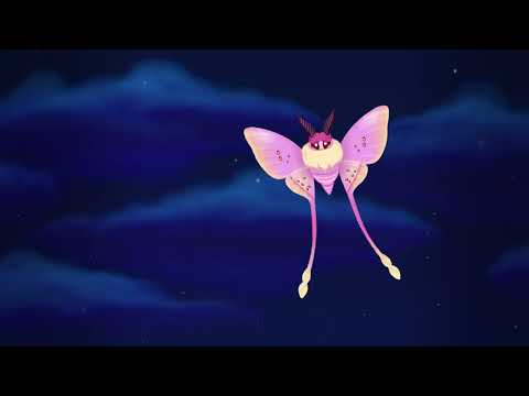 فيديو Flutter: Starlight