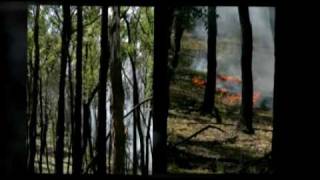 preview picture of video 'Malmsbury Bushfire'