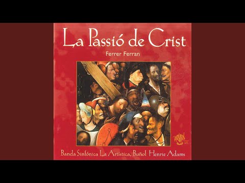 El Bosque Magico: I. The Elves