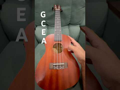 How A Tuned Ukulele Sounds Like