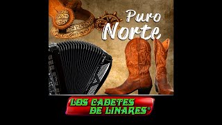 Si Quieres Tu Volver - Los Cadetes de Linares