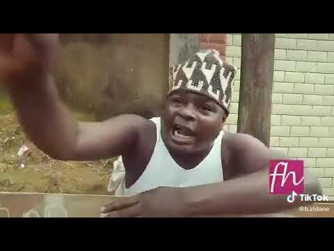 Bitakola   ne vaccinez plus nos chats