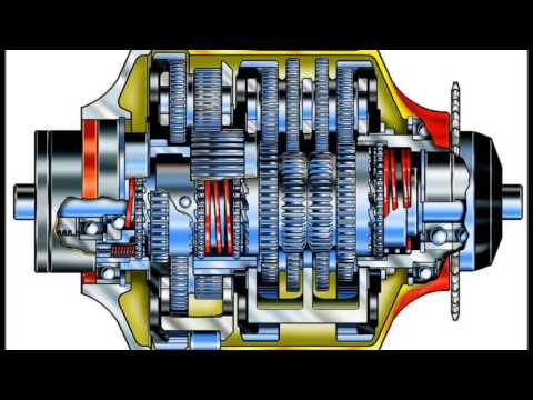 Rohloff Speedhub How it Works