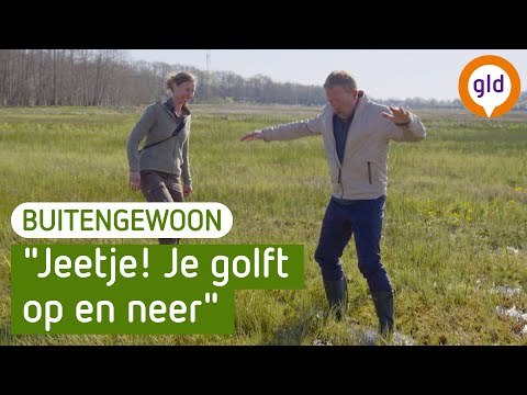 Een gloednieuw natuurgebied onder Vaassen | BuitenGewoon