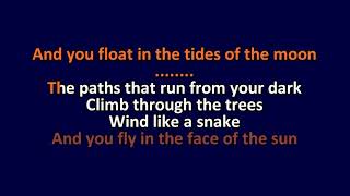Mercury Rev - Tides Of The Moon - Karaoke Instrumental Lyrics - ObsKure