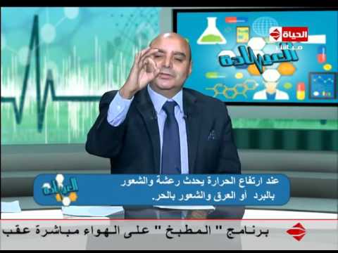 العيادة - د/رفعت الجابري إستشارى طب الأطفال - نزيف الأنف ومضاعفتها خطر يجب الأهتمام به