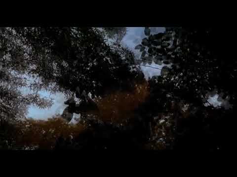 🐧 khalse پنگوئن