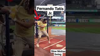 Fernando Tatís Jr. Slow Motion Swing