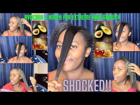 , title : 'HOW TO USE AVOCADO AND HONEY FOR EXTREME HAIR GROWTH IN JUST 3 DAYS😱😍!!//NATURAL HAIR ROUTINE'