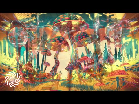 Hypoglucid - Mortar Nights