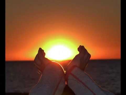 WIKI domki nad morzem