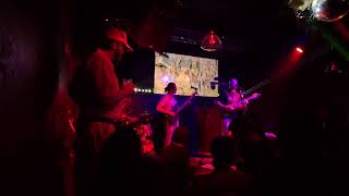 Catnip Full Set - O'Reilley's Feb 1 2025