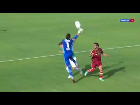 Palmeiras 2 x 3 FLUMINENSE   Brasileirão 2012 (35ª rodada) (COMPACTO)