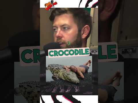 Man And Crocodile Best Friends