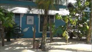 preview picture of video 'Beaches in Colon Island, Bocas del Toro - Playas en Isla Colón, Bocas del Toro Panamá'