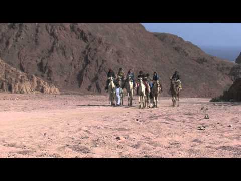 comment construire pyramide des ages