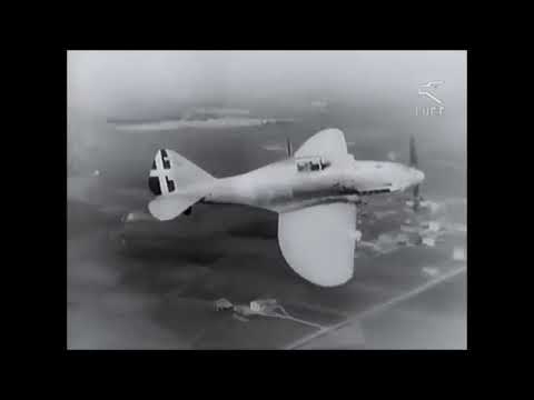 Reggiane Re-2001 Falco II